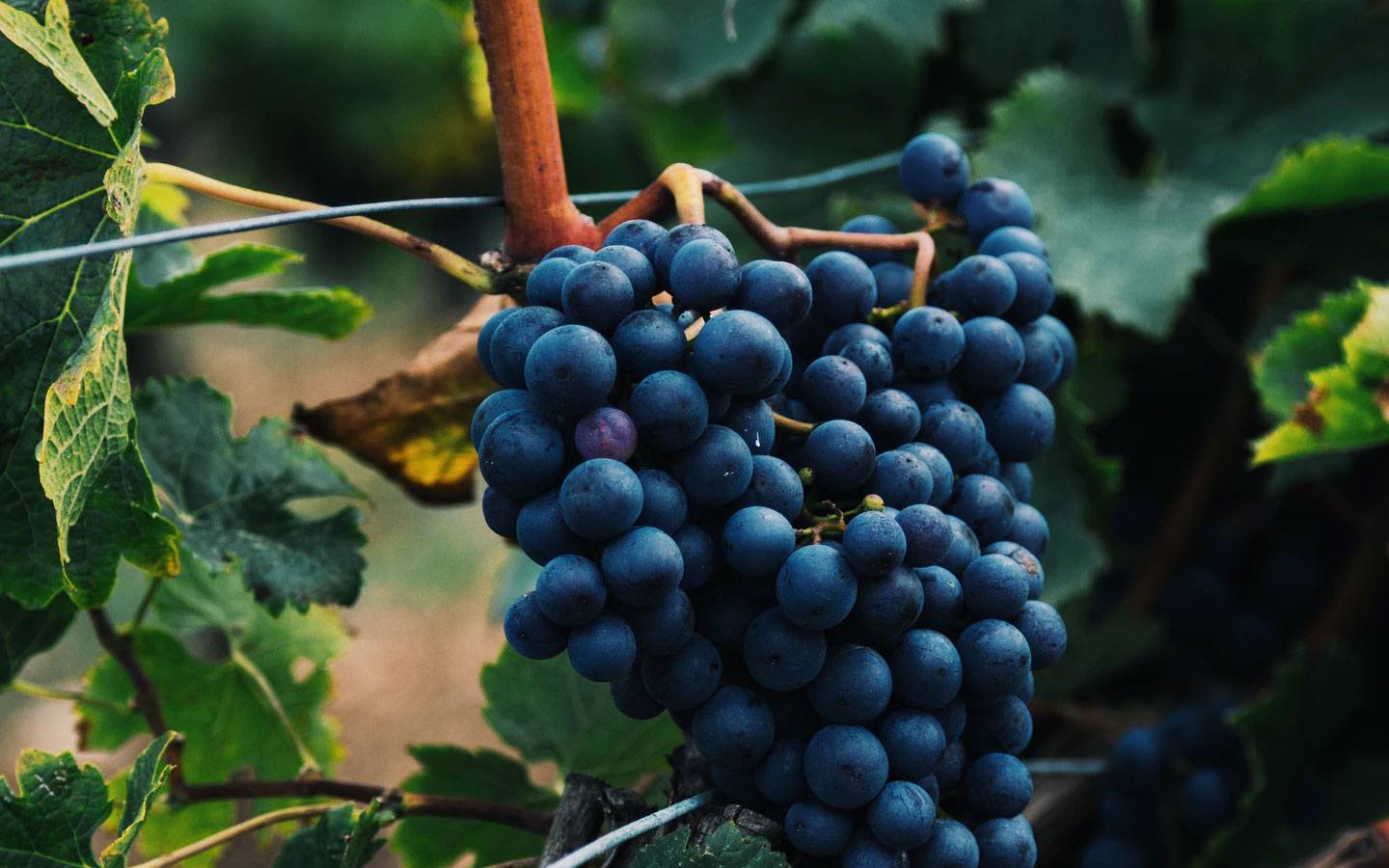 A Beautiful Sunday Morning